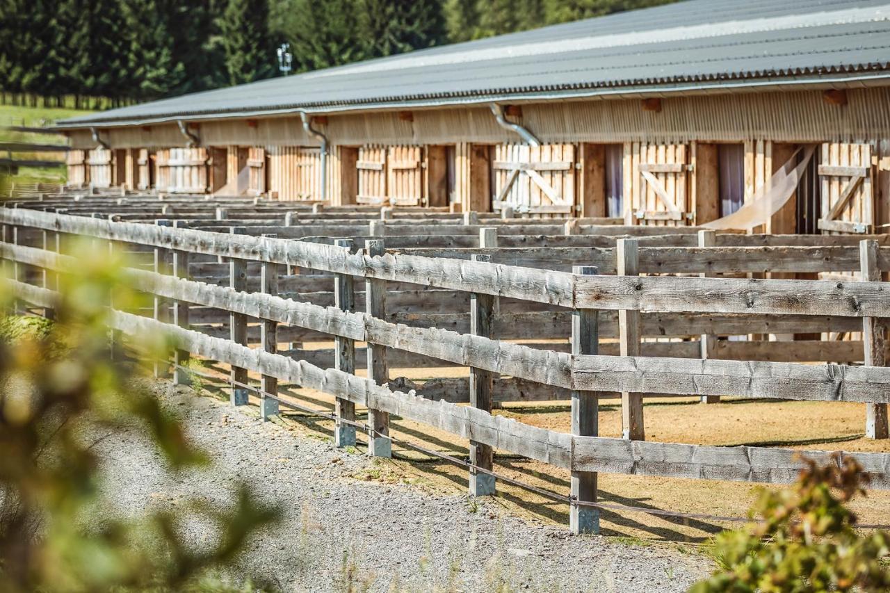 Ranchhouse Bubble - Westernstable - Horse Elterlein Exterior foto